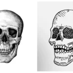 drawingoldj_7nsvxk= skull