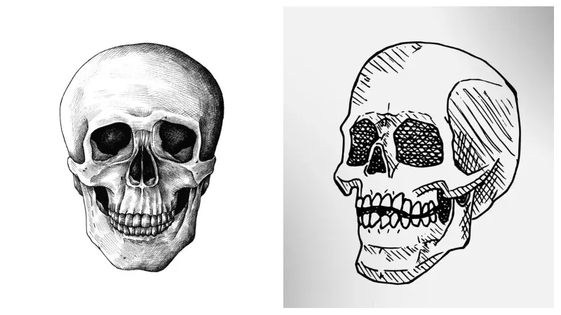 drawing:oldj_7nsvxk= skull: A Comprehensive Guide